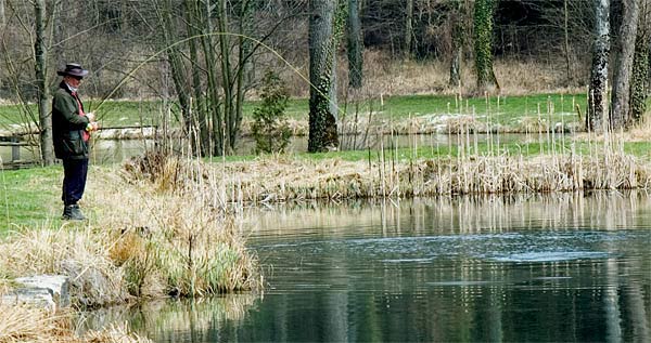 This fishery is bordered by dense natural woodland 