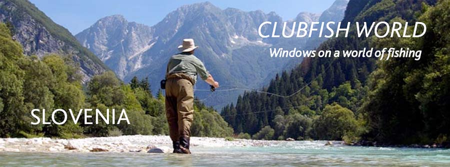 Fly fishing adventures in Slovenia