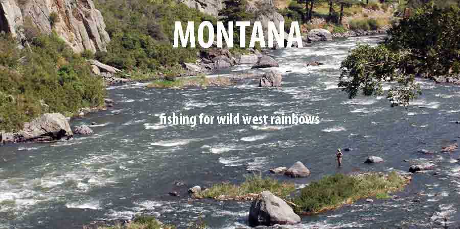 Wild West Rainbows … fly fishing for rainbows in Montana