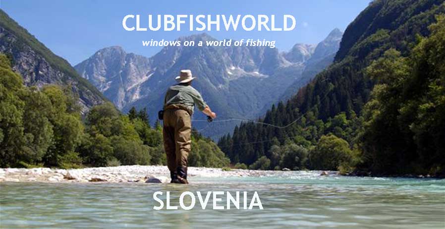 THE BOYS GO SLOVENIA – trout fishing for Trout and Grayling in Slovenia