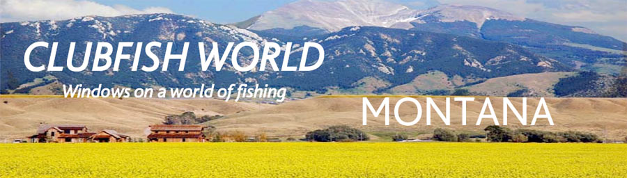 Flyfishing advertures in Montana, USA